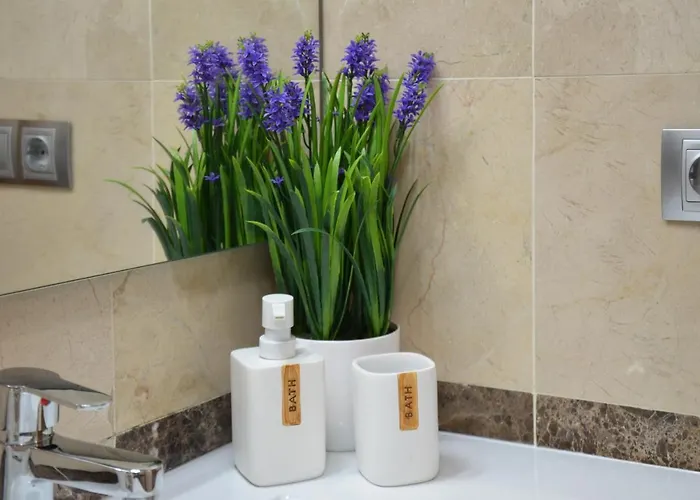 Zona Exclusiva Con Garaje Gratis Y Netflix Apartment *